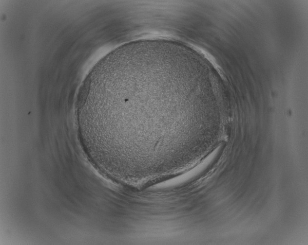 X0000073751375200608171320