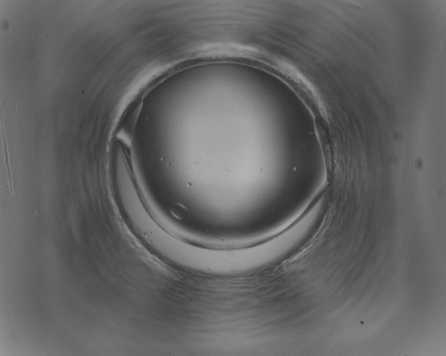 X0000073751376200608171320