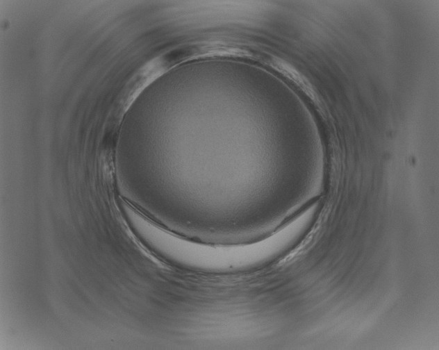 X0000073751377200608171320