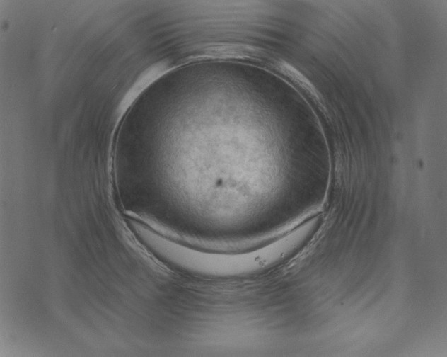 X0000073751378200608171320