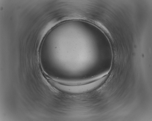 X0000073751380200608171320