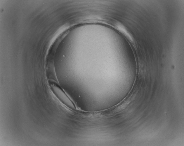 X0000073751384200608171320