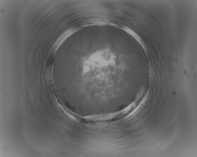 X0000073751385200608171320