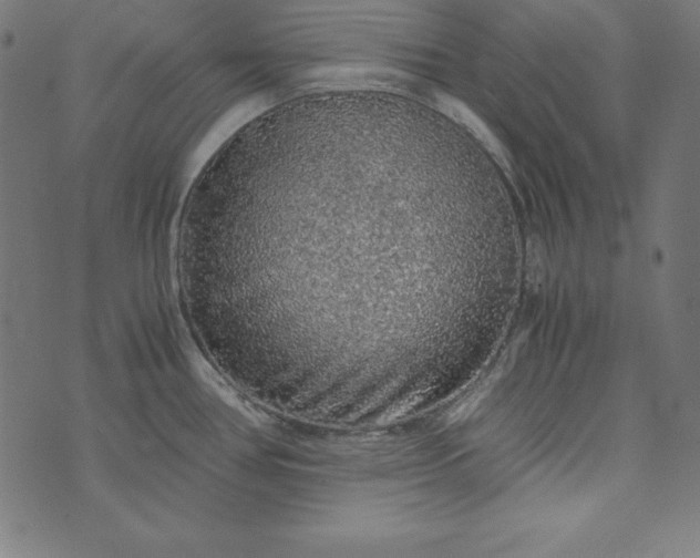 X0000073751386200608171320