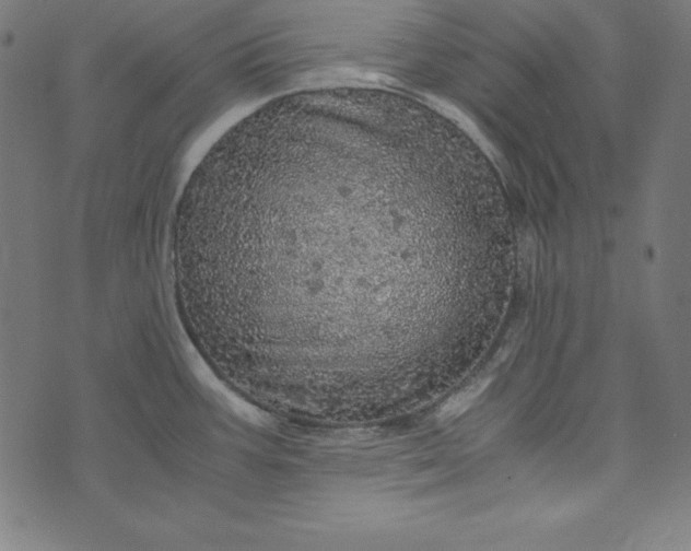 X0000073751387200608171320