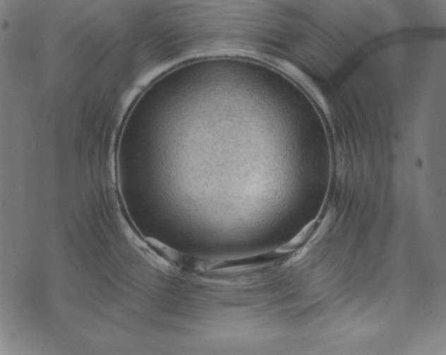 X0000073751388200608171320