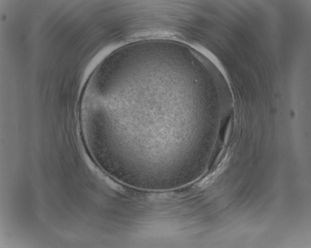 X0000073751389200608171320