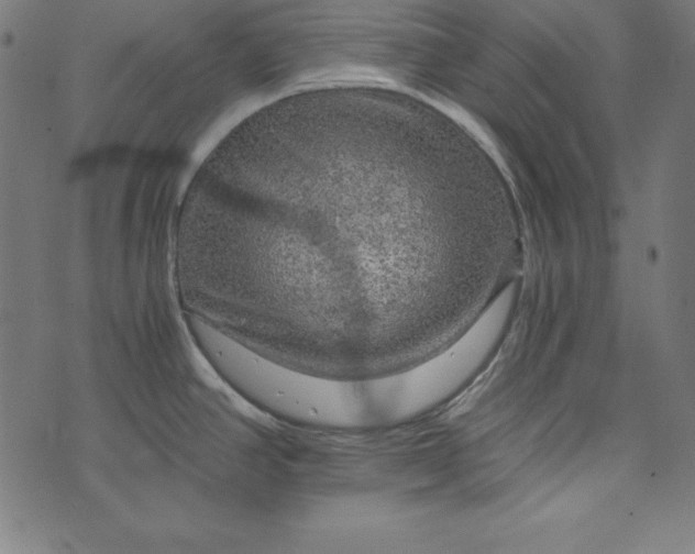 X0000073751390200608171320