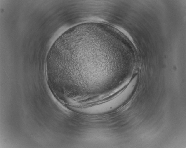 X0000073751391200608171320