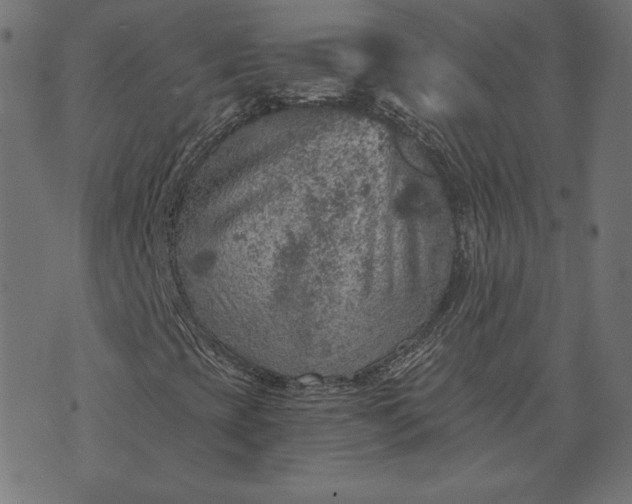 X0000073751393200608171319