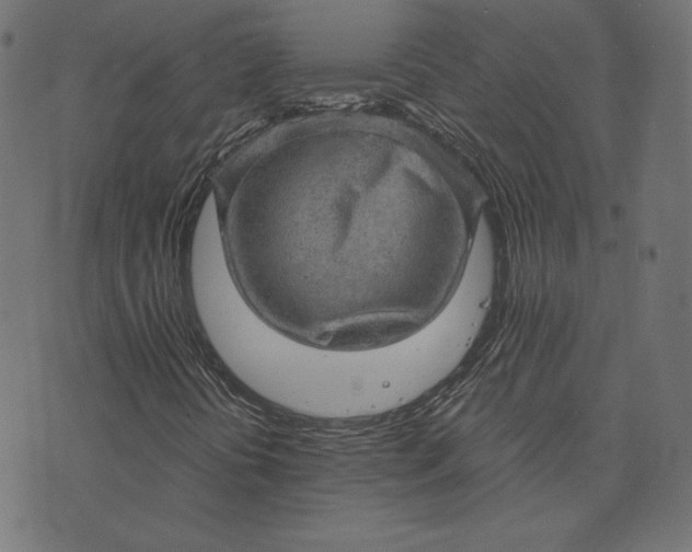 X0000073751394200608171319