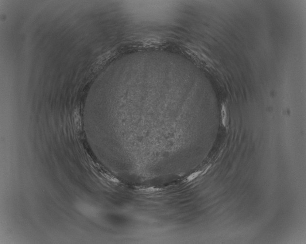 X0000073751395200608171319