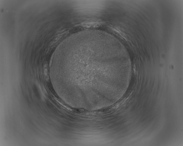 X0000073751396200608171319