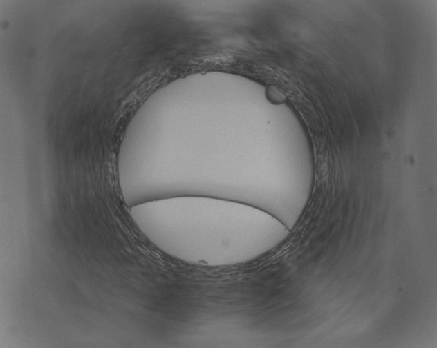 X0000073751397200608171319