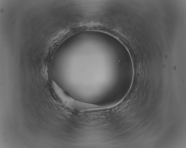 X0000073751398200608171319