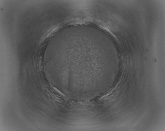 X0000073751399200608171319