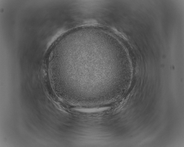 X0000073751400200608171319