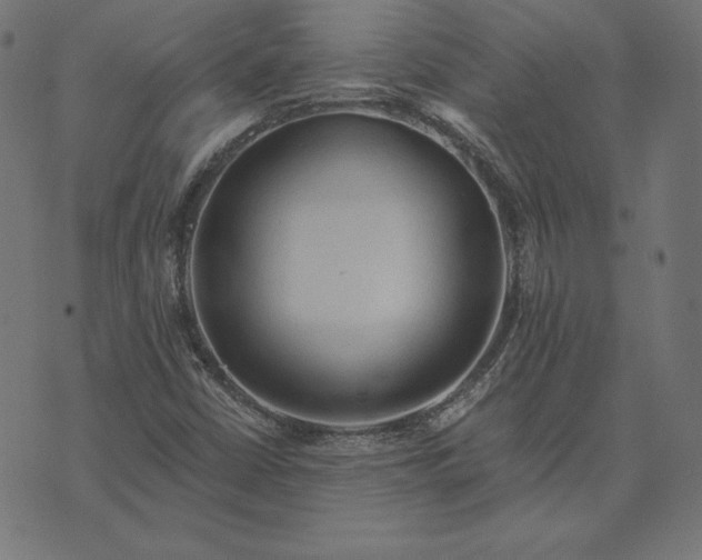 X0000073751402200608171319