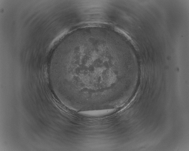 X0000073751403200608171319