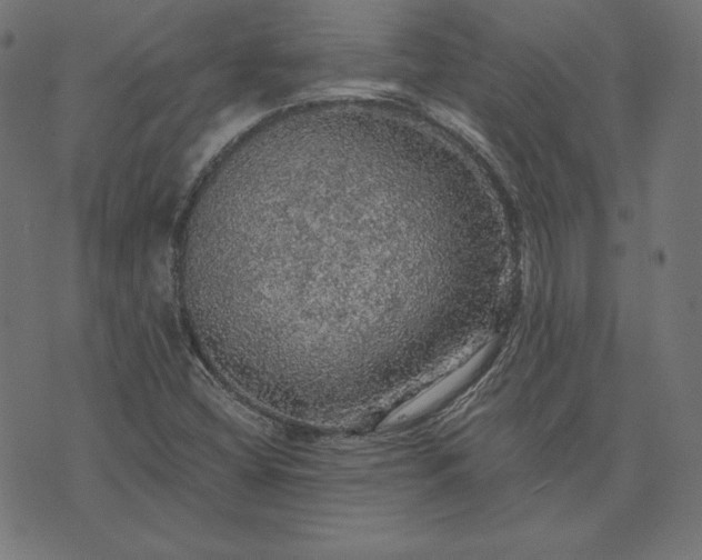 X0000073751404200608171319