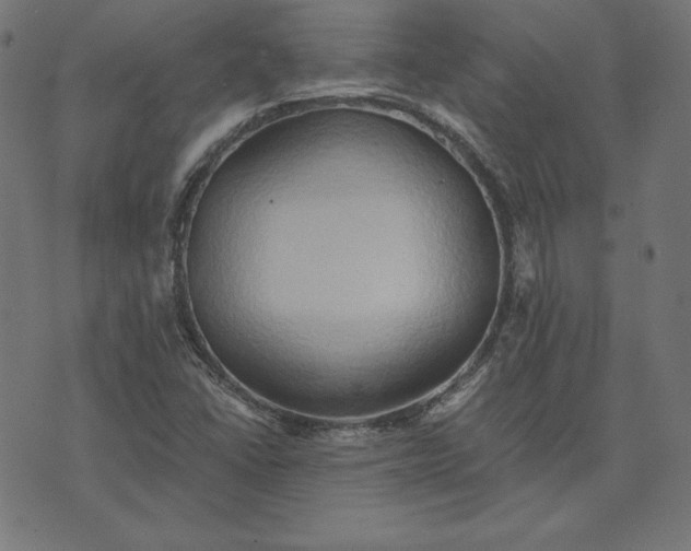 X0000073751406200608171319