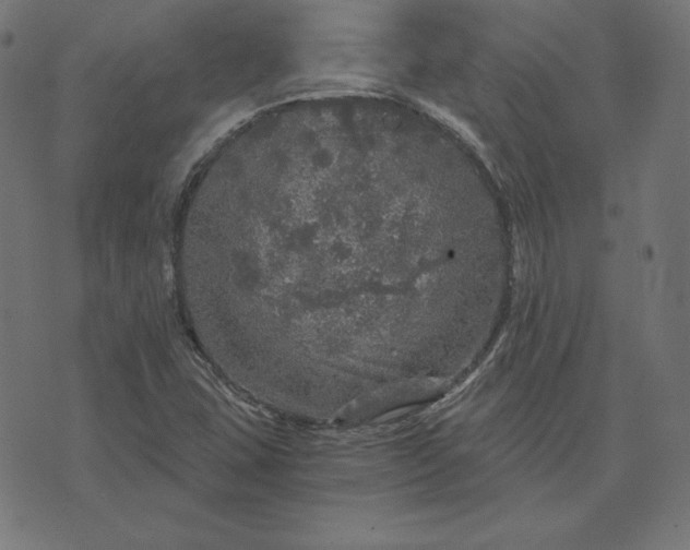 X0000073751407200608171319