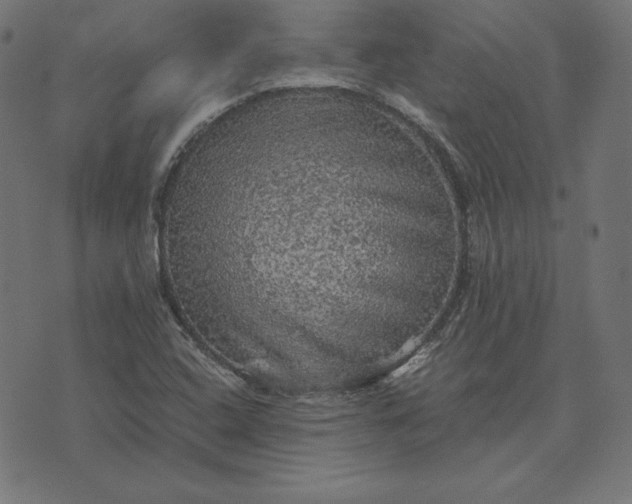 X0000073751408200608171319