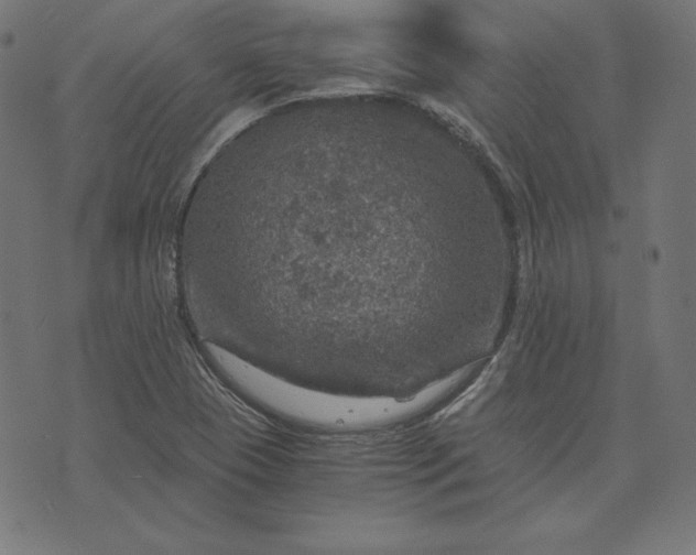 X0000073751409200608171319