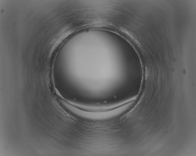 X0000073751410200608171320