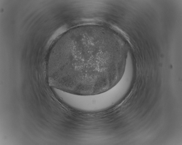 X0000073751411200608171320