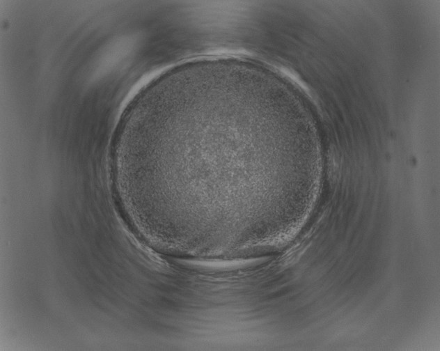 X0000073751412200608171320