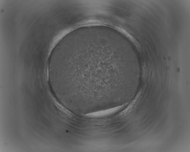 X0000073751413200608171320