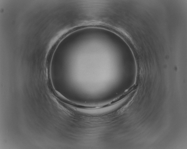 X0000073751414200608171320