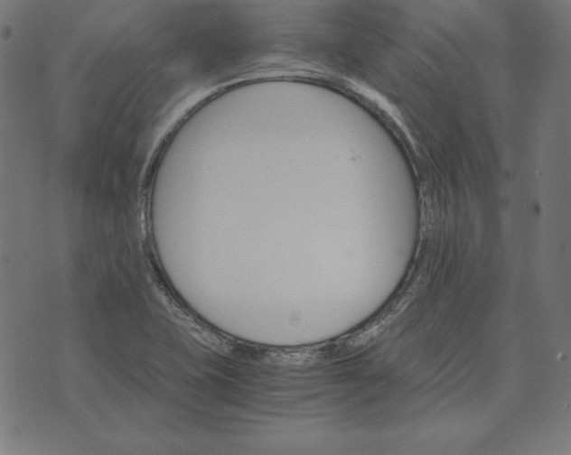 X0000073751415200608171320