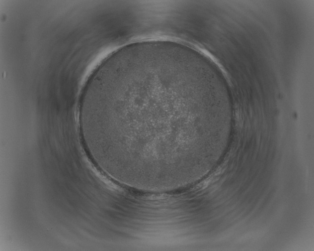 X0000073751416200608171320