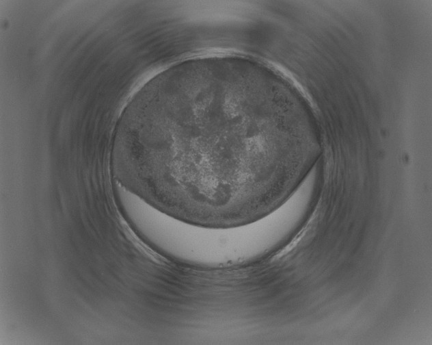 X0000073751417200608171320