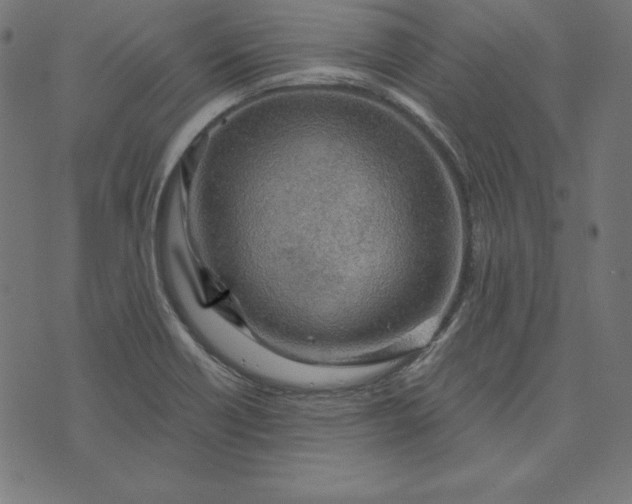 X0000073751418200608171320