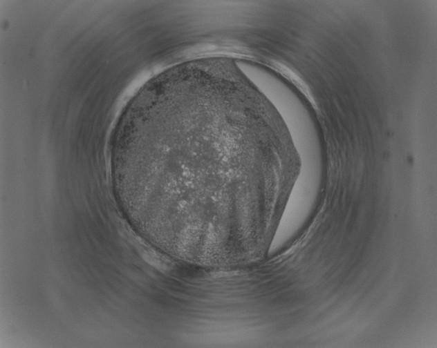 X0000073751419200608171320