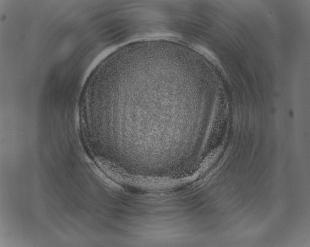 X0000073751420200608171320