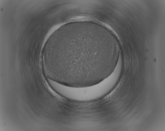 X0000073751421200608171320