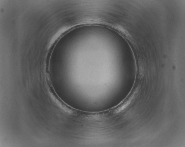 X0000073751422200608171320