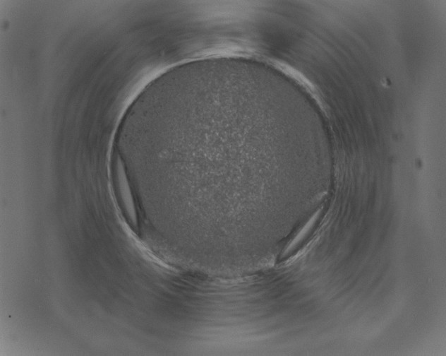 X0000073751423200608171320