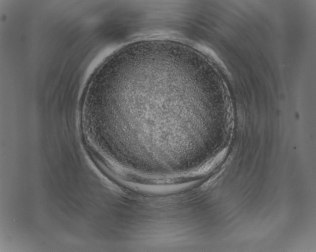 X0000073751424200608171320