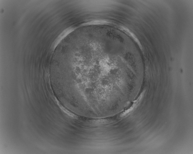 X0000073751425200608171320