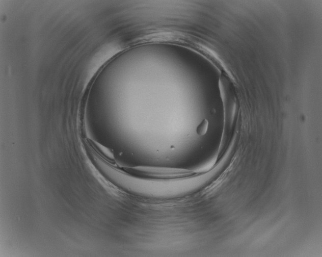 X0000073751426200608171320