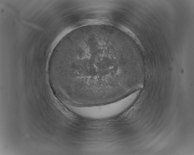 X0000073751427200608171320