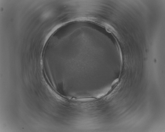 X0000073751428200608171320