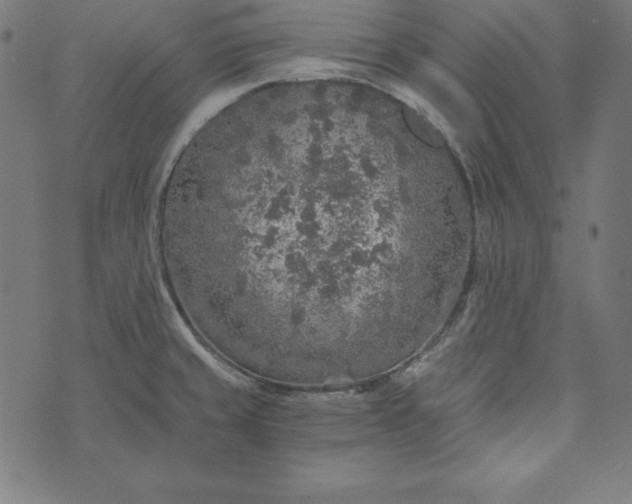 X0000073751429200608171320