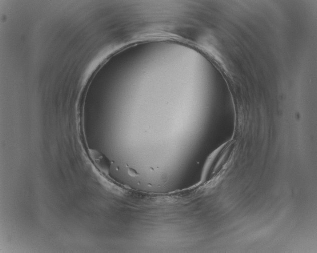 X0000073751430200608171320