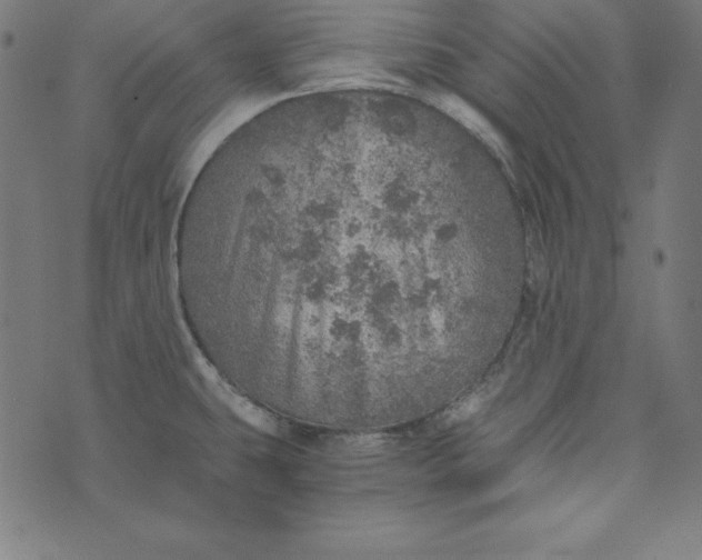 X0000073751431200608171320